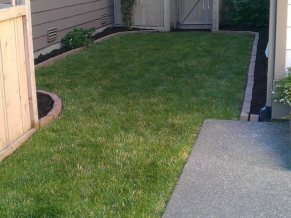 Side yard