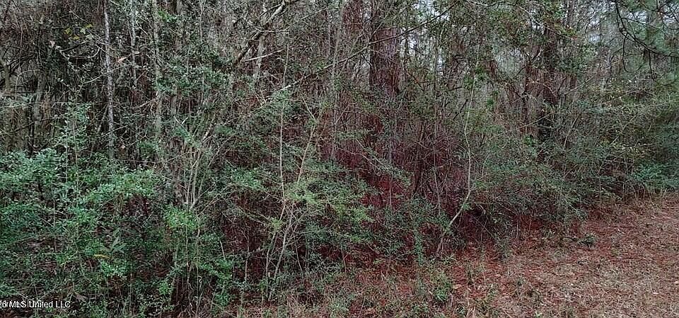 1st image of Laura St Lot 88