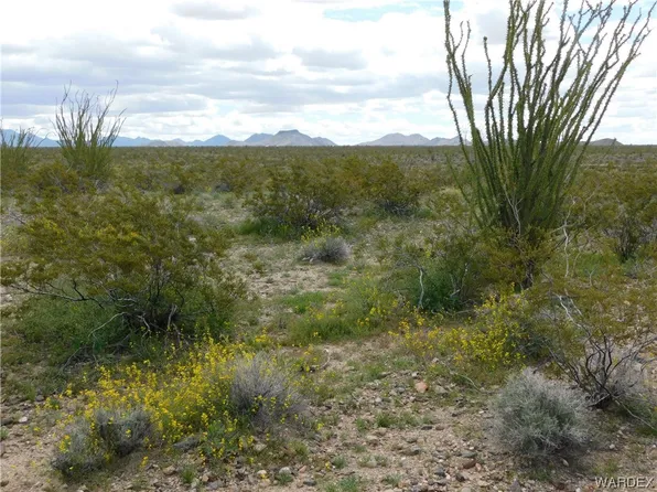 0 S Roll Rd, Yucca, AZ 86438