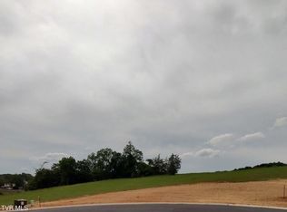 19 Steepleview Ct, Jonesborough, TN 37659