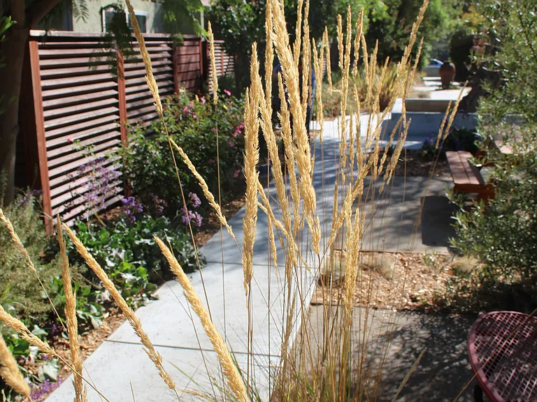 Manzanita Apartments — Photo 18
