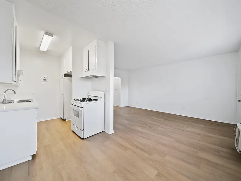 1235 Boynton St — Photo 5