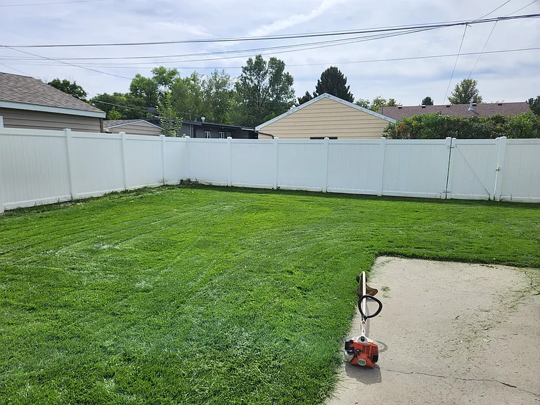 Backyard 2