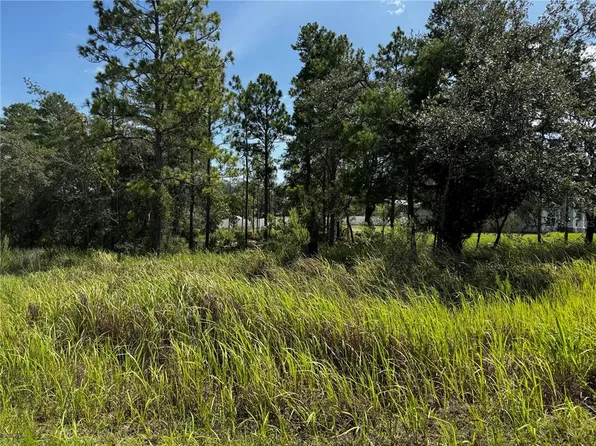 14 Barnevelde Rd, Brooksville, FL 34614