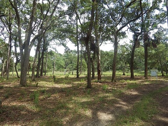 4th image of 260 Cape Palmetto Point Trl