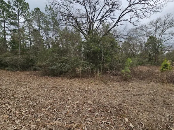 1446 Joe Jordan Rd, Baker, FL 32531