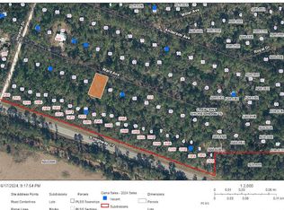 313 Ward Ave, Crescent City, FL 32112