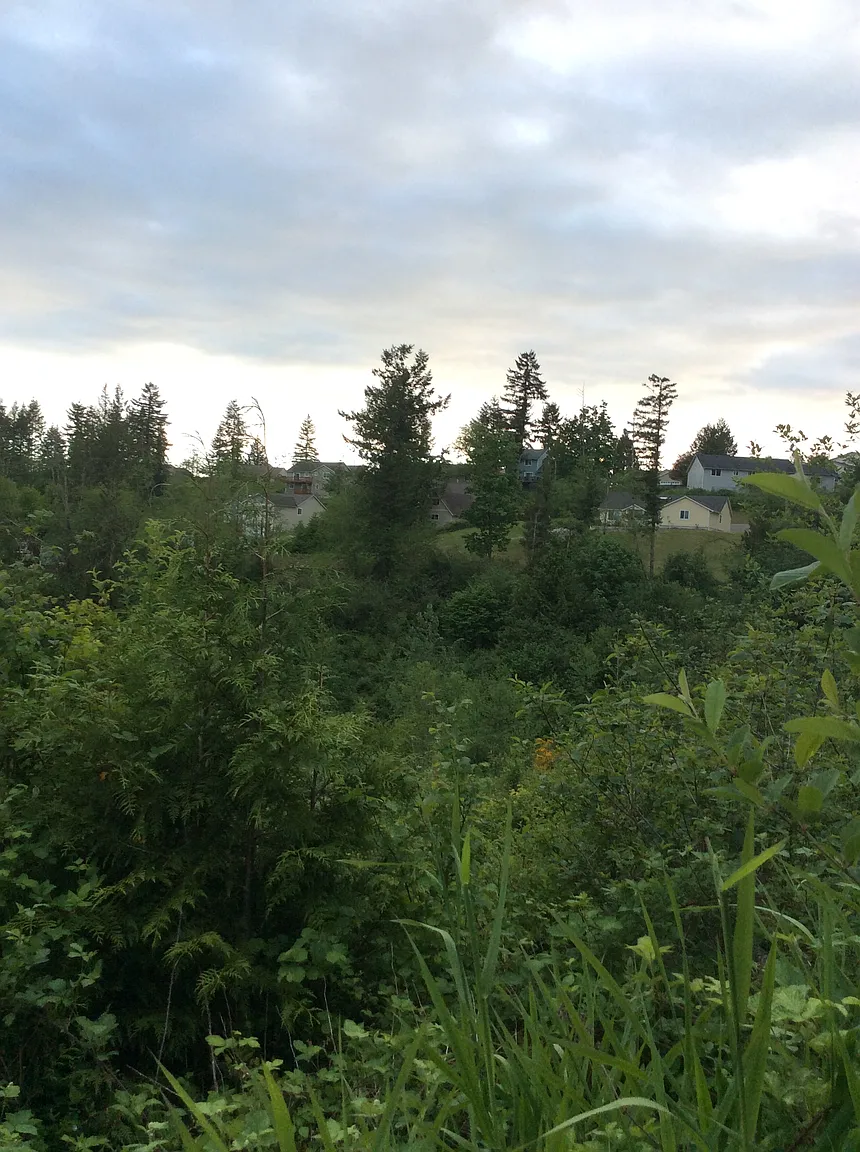4341 Fletcher Ave photo 1