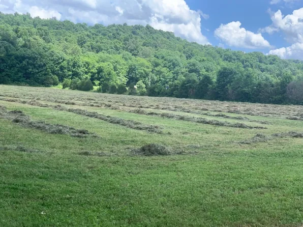 25 Cardinal Rd, Linden, TN 37096
