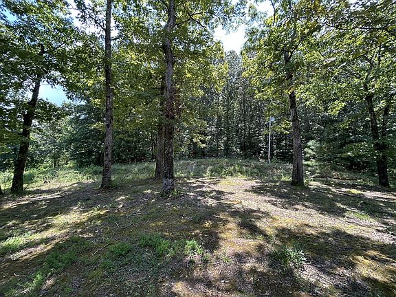 5th image of 885 Sandys Camp Rd