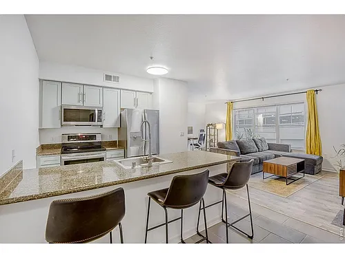 1623 Saint Paul St #310 Photo 1