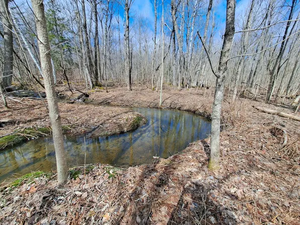 L9 Plank Rd, Ellenburg Depot, NY 12935