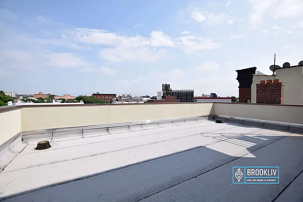 Rented by null | media 19