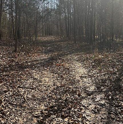 4th image of 0 Girl Scout Rd