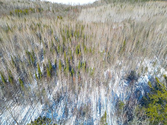 4th image of 72 E Central Lakes Rd Lot C