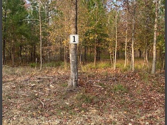 2nd image of 1 Hidden Pines Loop