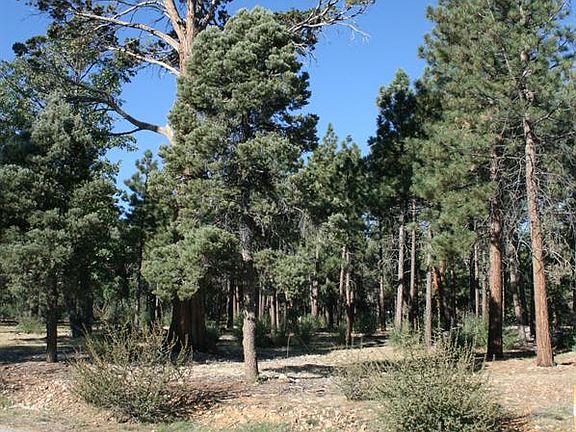 4th image of 631 Cedar Glen Dr