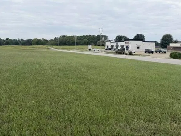 226 Grace Cv, Medina, TN 38355