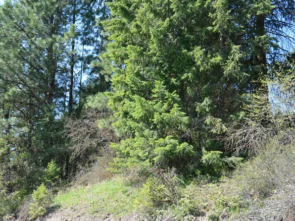 Long Prairie Rd, Valley, WA 99181