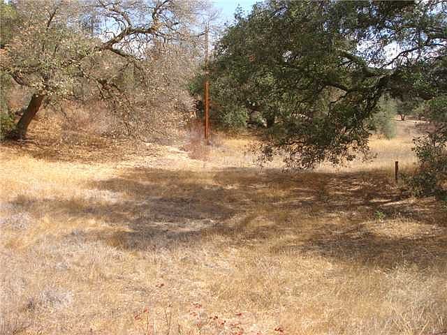 1st image of 40.59 Acres Mother Grundy Truck Tr