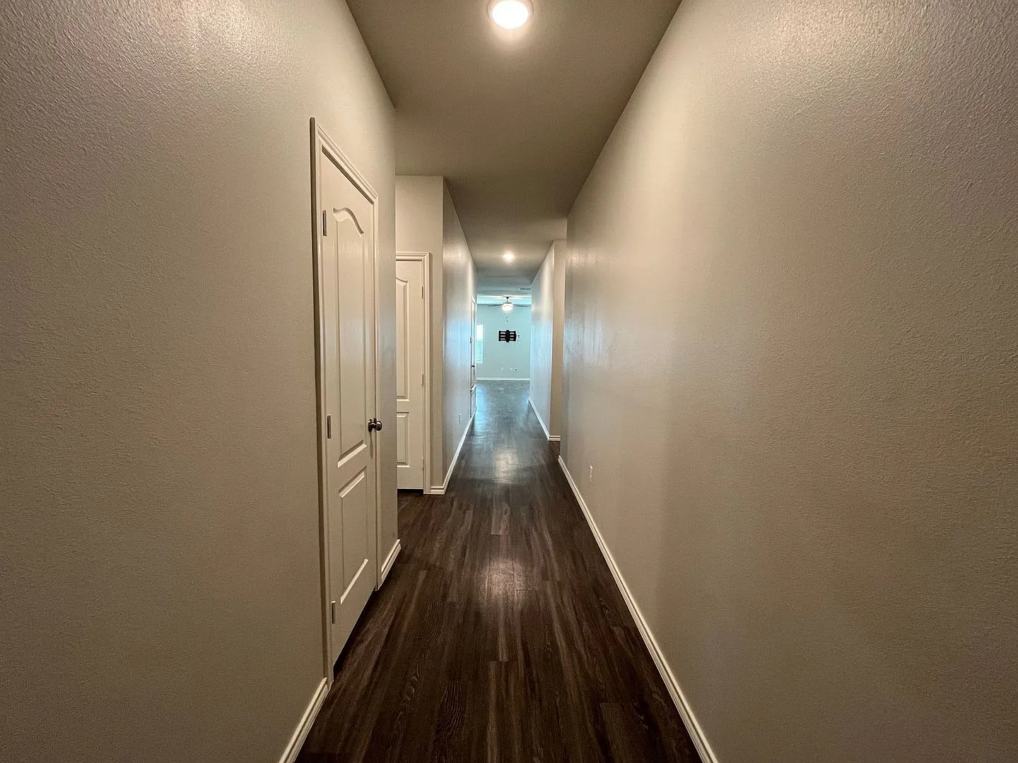 917 Martin Street — Photo 4