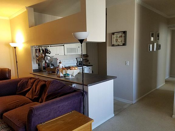 Living room and kitchen