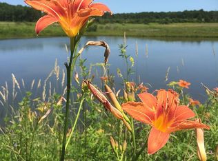 Oswegatchie Rd, Palatine bridge, NY 13428