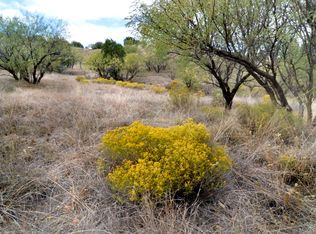 Tanglehead Ln #20, Patagonia, AZ 85624