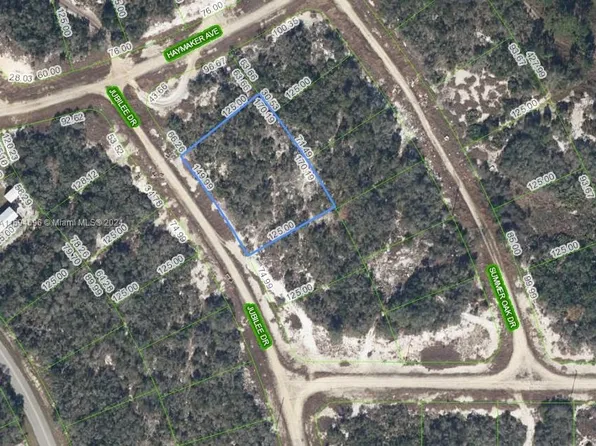 113 Wildwood Dr, Lake Placid, FL 33852