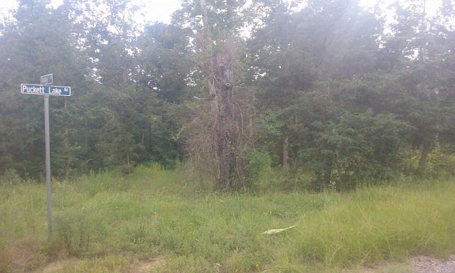 2nd image of Puckett Lake Rd