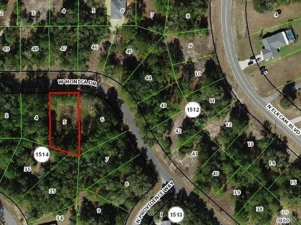 11902 N Monica Drive, Citrus Springs, FL 34433