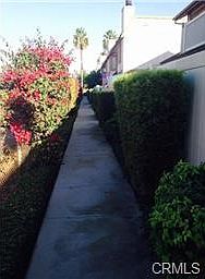 3rd image of 1254 N Citrus Ave APT 3