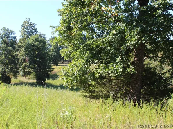 LOT CL21 Magnolia Rd, Gravois Mills, MO 65037