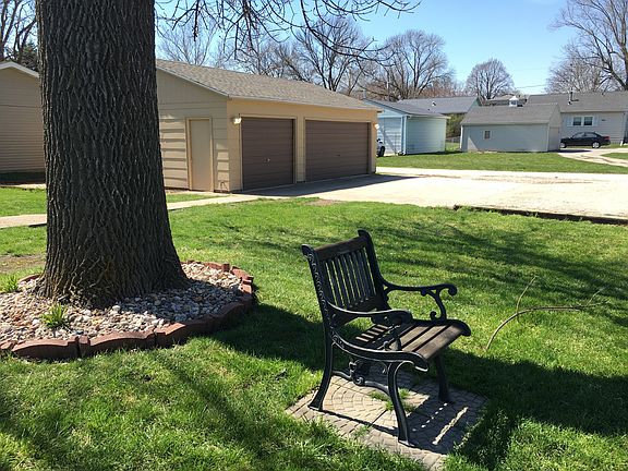 Large shade tree 