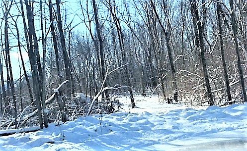 2nd image of 13682 Denali Ct