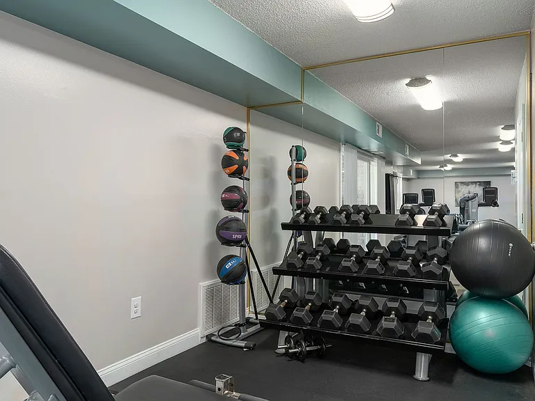 Free weights and medicine balls