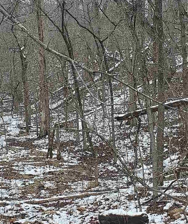 2nd image of Indian Trace Ln