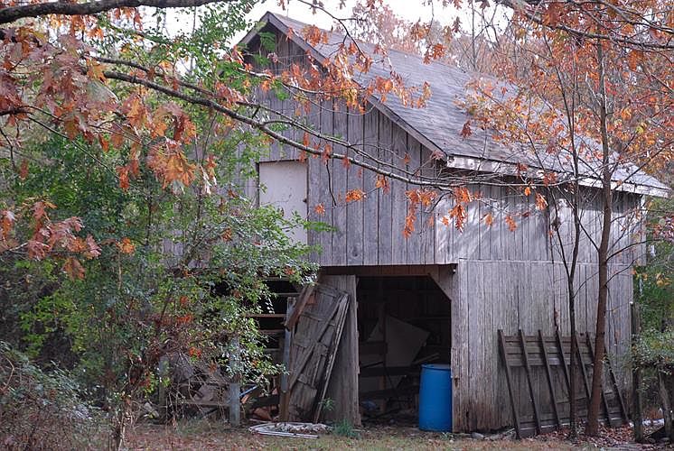 2nd image of 235 Tess Ln