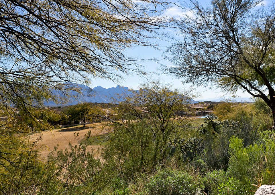 37745 S Skyline Dr, Saddlebrooke, AZ 85739 | Zillow