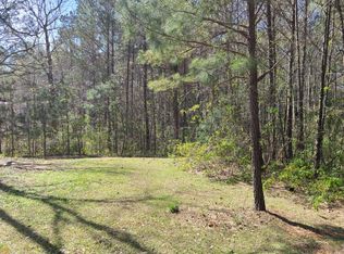 LOT 1B Holtzclaw Rd, Grantville, GA 30220