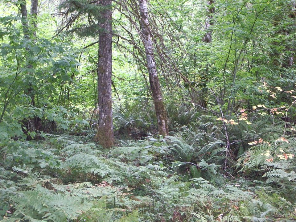 2nd image of 0 Osborn Rd