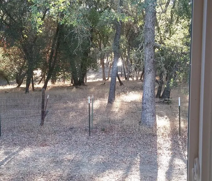 6730 Mystery Creek Ln — Photo 32