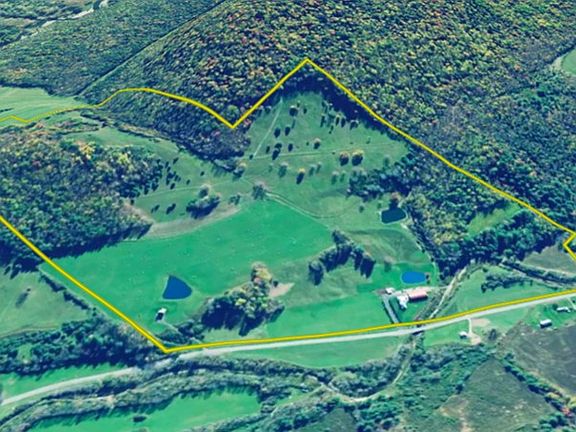2nd image of 3606 Knight Creek Rd