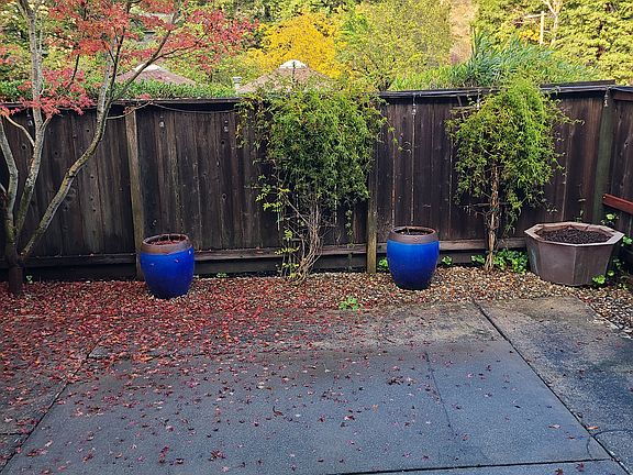 Back Patio.