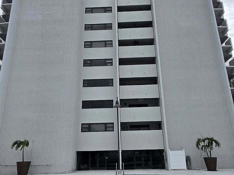 4141 Bayshore Blvd #1204 — Photo 3