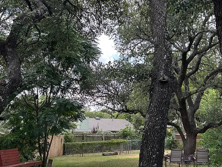 12304 Bent Cedar Cv — Photo 2