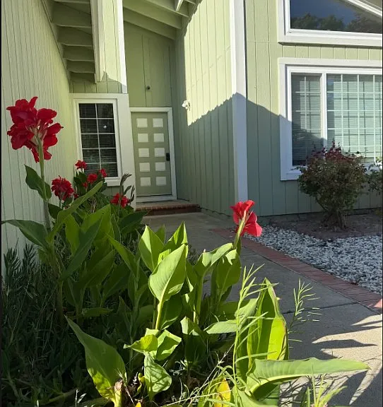 33534 Trinculo Ln — Photo 7