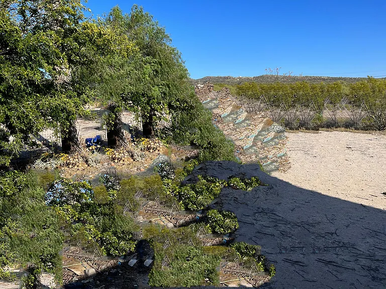 14617 E Colossal Cave Rd — Photo 13