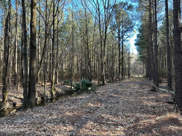 0 Us 264, Belhaven, NC 27810