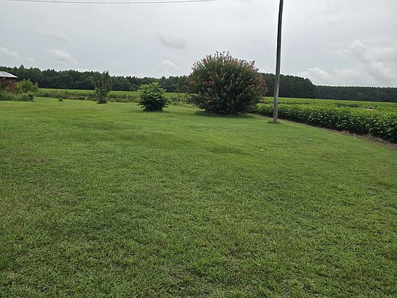 3rd image of 1717 Black Rd